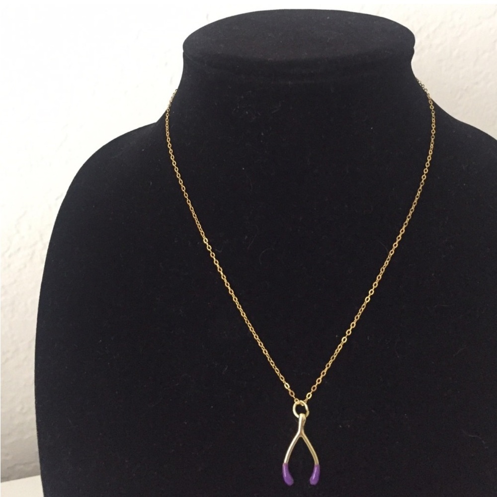 Gold Wishbone Necklace with Dipped Purple Accent on 18k Gold Chain